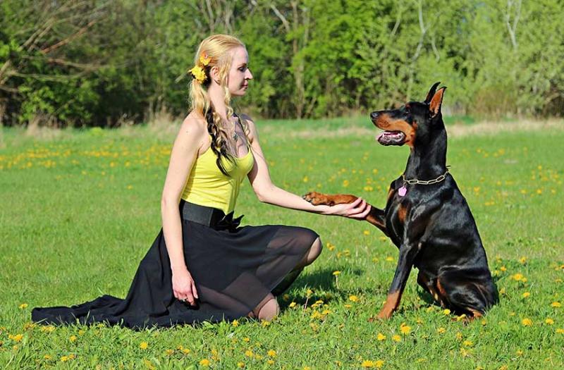 Hond geeft poot aan blond meisje